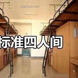 “替我在宿舍自由”与传统宿舍生活对比分析